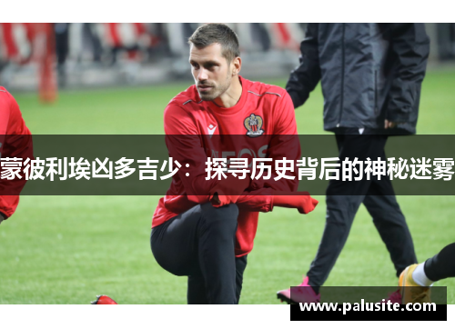 蒙彼利埃凶多吉少:探寻历史背后的神秘迷雾